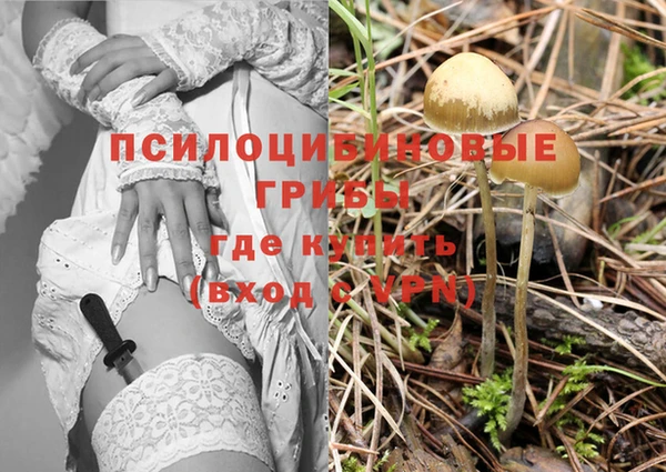 apvp Абаза