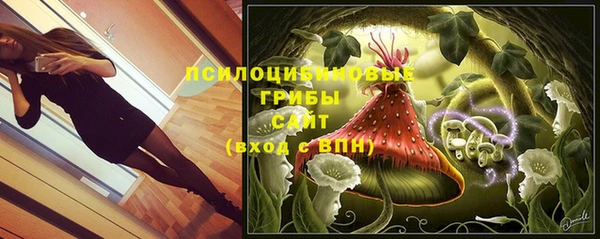 крисы Алексин