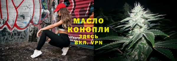соль ск Жердевка