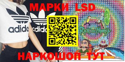 шишки Обнинск