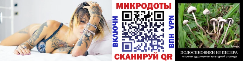 Псилоцибиновые грибы прущие грибы  Арсеньев 