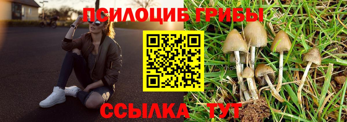 Арсеньев  Галлюциногенные грибы GOLDEN TEACHER  Вход с VPN 