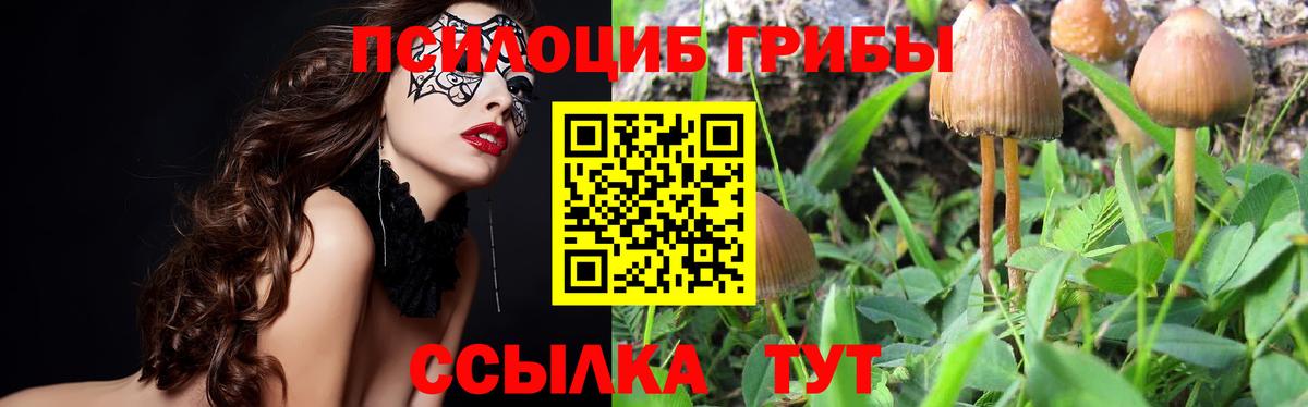 Псилоцибиновые грибы GOLDEN TEACHER Арсеньев